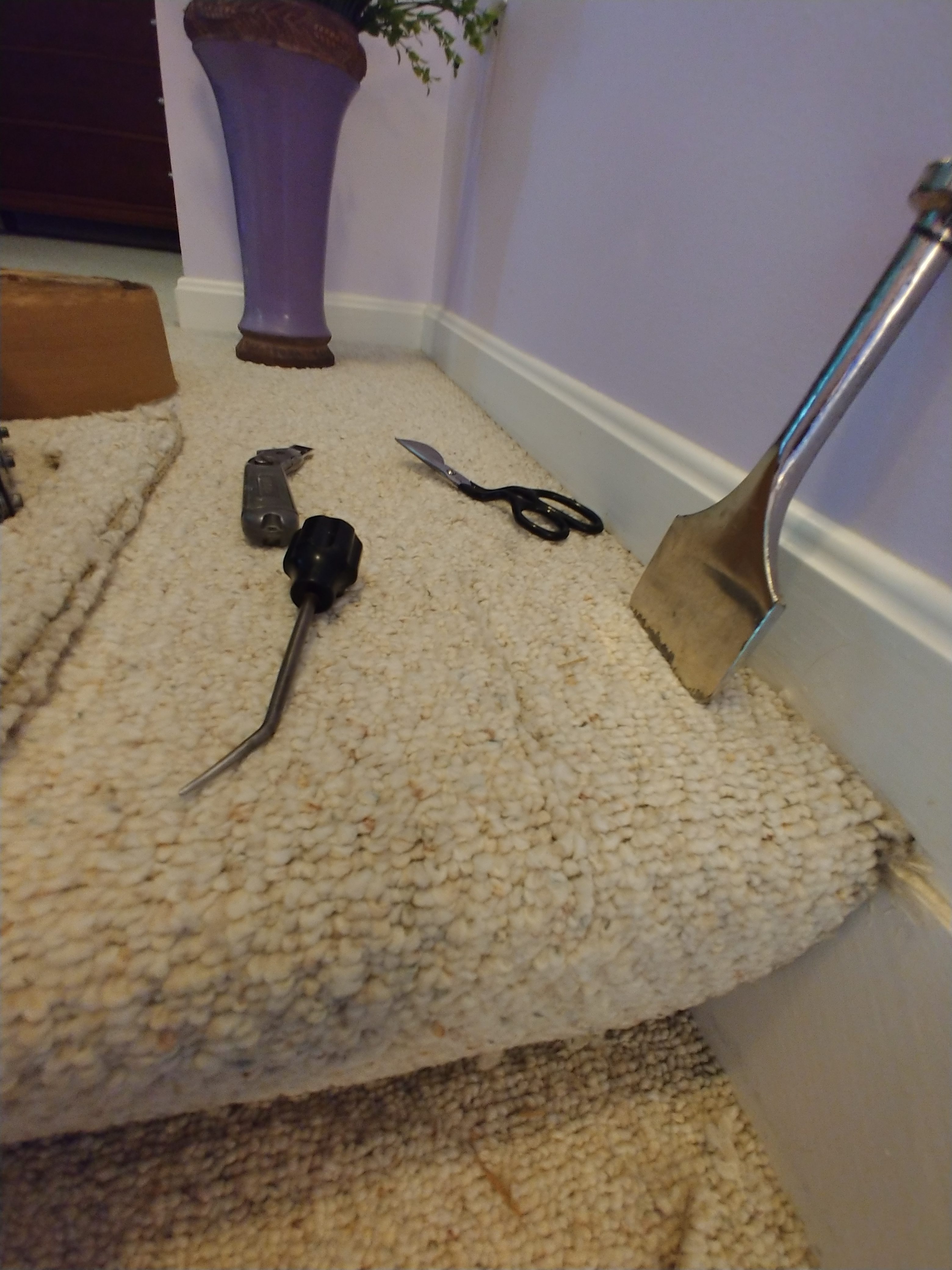 Quick Dry Carpet Repair - Berber